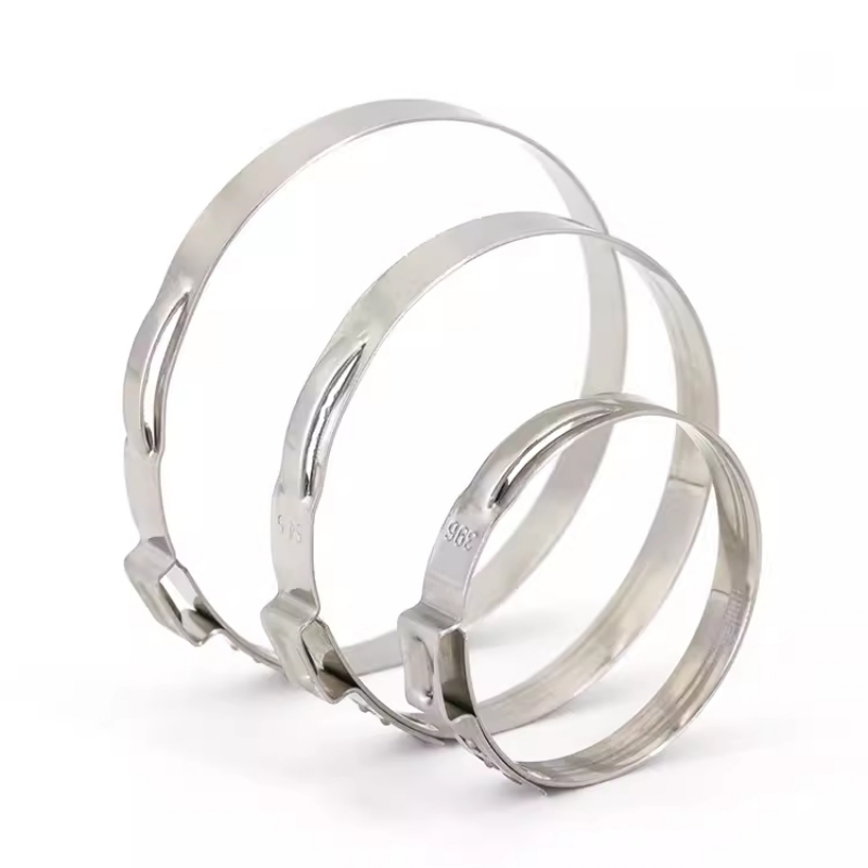 5-20개 5.3-159mm 304 스테인레스 스틸 단 - Hose Clamp Assorted 리뷰 및 가격